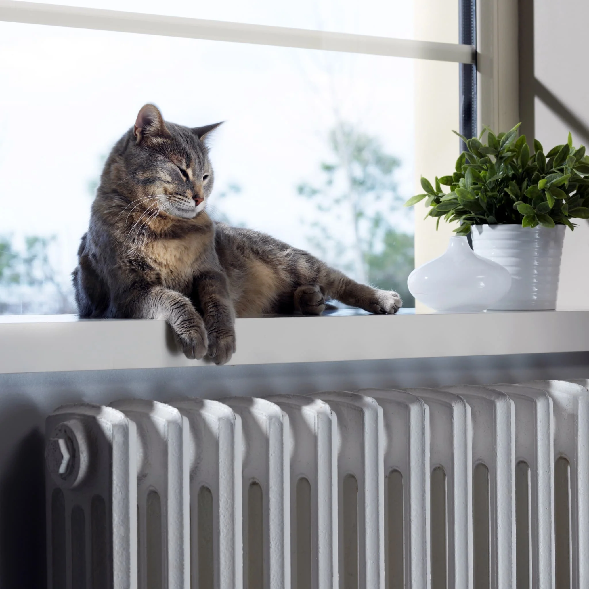 Thermostat intelligent basse tension - Image 6